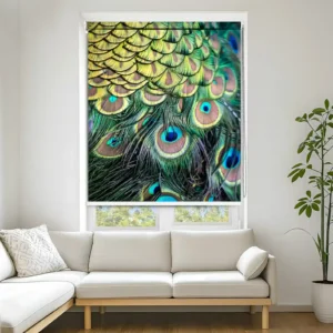 Peacock Feather Close Up Printed Roller Blind for Luxury Interiors